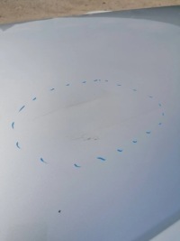 фото thumb №6, Дверь правое правый задняя skoda octavia iii kombi