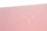 фото thumb №5, Спойлер спойлер porsche cayenne 1 i 06r