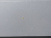 фото thumb №9, Двері перед лівий передні ліва oryg lak ezrc peugeot 807 02-14r. citroen c8