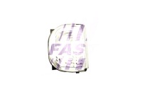 фото thumb №2, Лампа поворотник fast ft87016