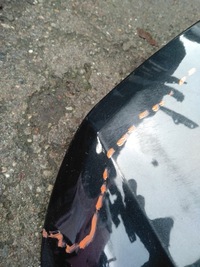 фото thumb №5, Кришка багажника багажника audi a6 c8 4k 4k9 kombi