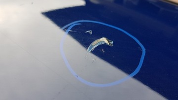 фото thumb №6, Дверь задние зад левая skoda fabia ii универсал lf5a