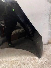 фото thumb №2, Капот renault scenic iii 3 lift 13-