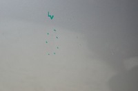 фото thumb №8, Двері лівий перед opel antara 92u