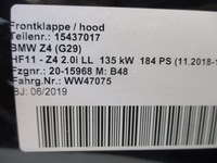 фото thumb №5, Капот bmw z4 g29