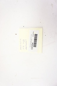 фото thumb №6, Ox354 skoda superb iii ^ подушка безпеки подушка водія 3v0880201f