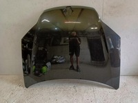 фото thumb №1, Капот крышка двигателя renault laguna 3 iii 2007-