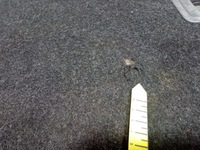 фото thumb №6, Vw passat b7 kombi підлога обшивка багажника 3c9863463m