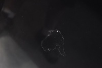 Капот крышка двигателя черная volvo xc90 02-06 в Украине, фото thumb