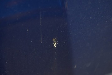 фото thumb №6, Капот кришка двигуна синя bmw e90 e91 рестайлінг 04-12