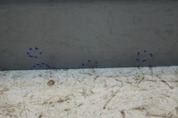 фото thumb №14, Дверь правый перед bmw x3 e83 a08/7