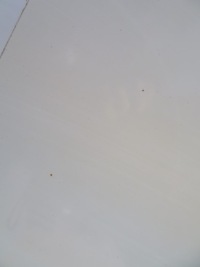 Двері праве перед fiorino nemo bipper qubo повний колір 249 Доставка, фото thumb