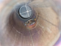 фото thumb №8, Katalizator/dpf peugeot 308 1476471x