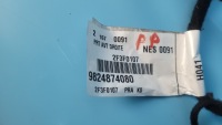 фото thumb №14, Fiat scudo iii 22r джгут двері праві перед 9824874080