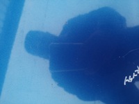 фото thumb №14, Капот кришка двигуна honda civic vii 7 hb оригінал