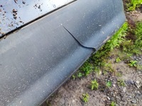 фото thumb №7, Audi a4 b6 бампер задня задній sedan