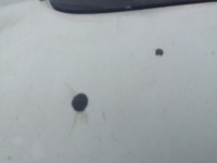 Капот bmw e90 Доставка, фото thumb