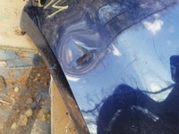 фото thumb №9, Бампер задняя seat leon ii lift 09-12 1p0807421d