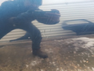 фото thumb №5, Nissan qashqai i j10 +2 06r- двері праві перед bw9g