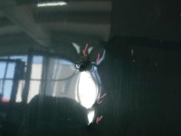 Капот передня mercedes w210 зелений 298 Ціна, фото thumb