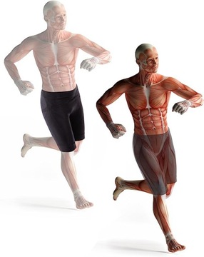 Функциональные брюки ULTRASPORT Kinesio L