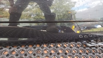 фото thumb №7, Volvo xc90 i suv кришка зад боки 452-26