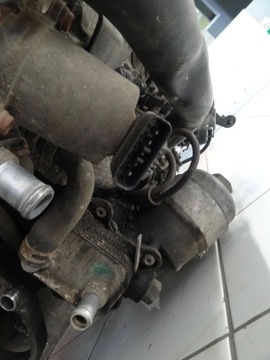 фото thumb №8, Opel astra g ii 1.7 cdti 2004 двигатель комплектный 189 tys пробег z17dtl