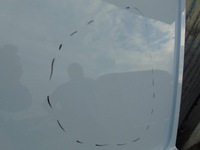 фото thumb №7, Двері зсувні праве бічний розсувні ford transit custom mk2 новий model 23-