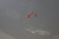 фото thumb №12, Дверь правые перед audi a4 b7