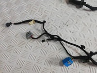 фото thumb №3, Citroen ds7 электропроводка дверь задняя левая