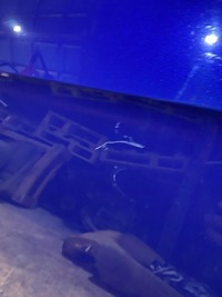 фото thumb №5, Volkswagen golf vii двері задня задні праве ld5k