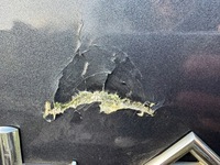 фото thumb №10, Renault laguna iii кришка багажника багажника teb66