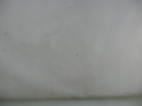 фото thumb №5, Mercedes s w221 скло двері solargreen лівий перед