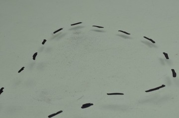 фото thumb №11, Peugeot 3008 ii скло права передня подвійна 24r