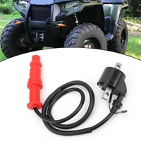 фото thumb №9, Atv катушка зажигания свеча зажигания 3085228