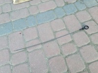 фото thumb №1, 12670057 щуп щуп масла проволока 2.0t opel insignia b