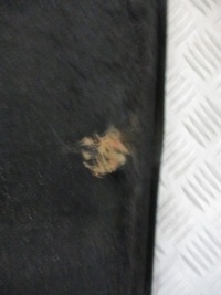 Стіна перегородкова перегородка renault modus 1.5 dci Ціна, фото thumb