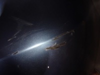 Mazda 6 13- kombi бампер задняя задний задний oryg Доставка, фото thumb