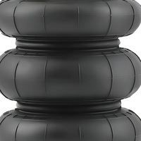 фото thumb №13, 2x сумка na підвіска пневматичний з potrójnym чохол 2600lbs