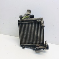 Купити Інтеркулер бризковики впуск citroen c4 picasso 2 2,0 blue hdi #151, фото thumb