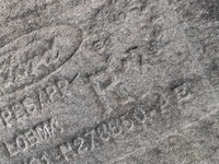 фото thumb №11, Ford focus mk3 підкрилок правий задня bm51n278b50ab