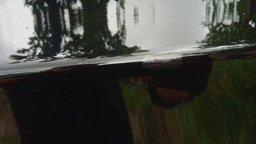 фото thumb №13, Bmw e91 e90 двері перед праві 668/9 5d