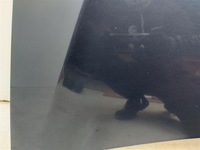 фото thumb №10, Капот кришка передня mazda mpv 2003r granatowa