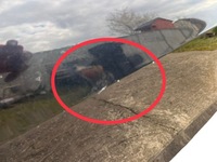 фото thumb №9, Двері праві передні праві перед ibiza 6j 3d lz9y