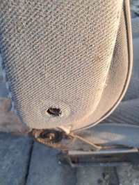 фото thumb №7, Сиденье правые пассажира t4 multivan caravelle 2x подлокотники