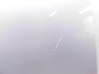 Капот комплект . - audi a6 c6 4f0 04-11 ly7w Зі Шроту, фото thumb