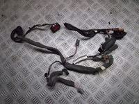 фото thumb №1, Джгут електрична двері правий задня volvo s80 ii 2.4 d5