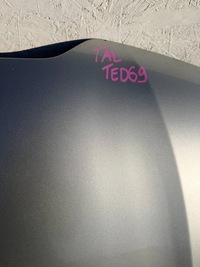 фото thumb №6, Talisman капот перед передня срібна ted69