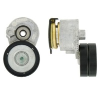 Купить Vkm 36072 skf натяжитель ремень многоручейковый. renault, фото thumb