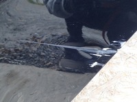 фото thumb №10, Двері ліві задні лівий зад opel insignia b 2 ii z18 hb хетчбек 2017-